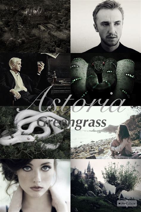 astoria harry potter|astoria greengrass and draco malfoy.